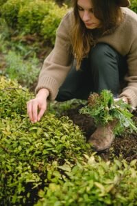 Gardening whilst pregnant